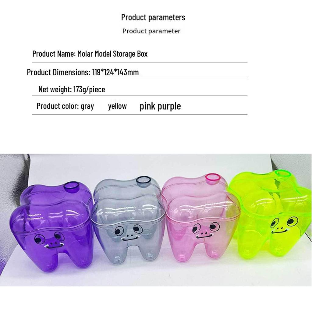 Tooth Molar Storage Box - Tooth-Shaped Organizer