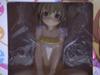 Aisaka Taiga Scream Design Swimsuit Dengeki Daioh 15th Anniversary Toradora! Ver.