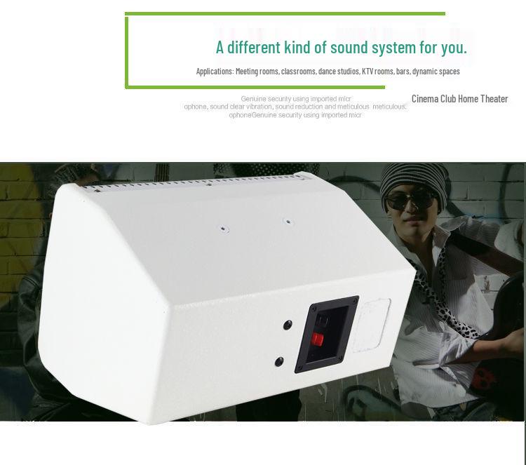 Ying Xian Dan Professional Wall-Mounted Speaker for Conference Rooms, KTV, Dance, School, or Hotel (8/10/12/15 Inch).