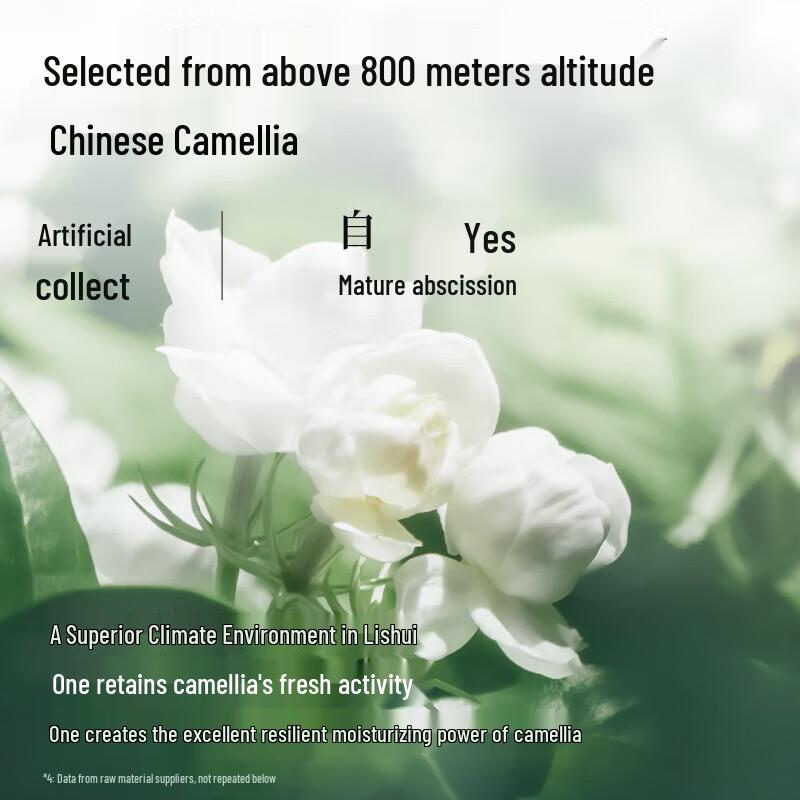 Adolph Plant Extract Nourishing Shampoo Set