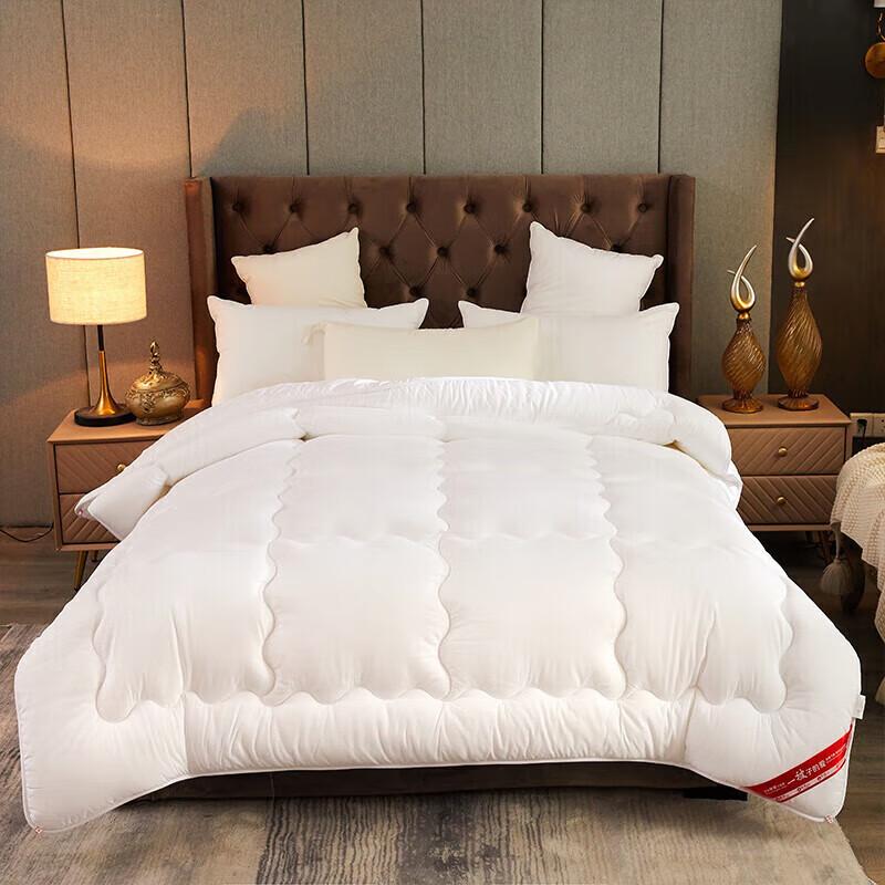 

All-Season Hotel & Home Polyester Fiber Duvet 150x200cm