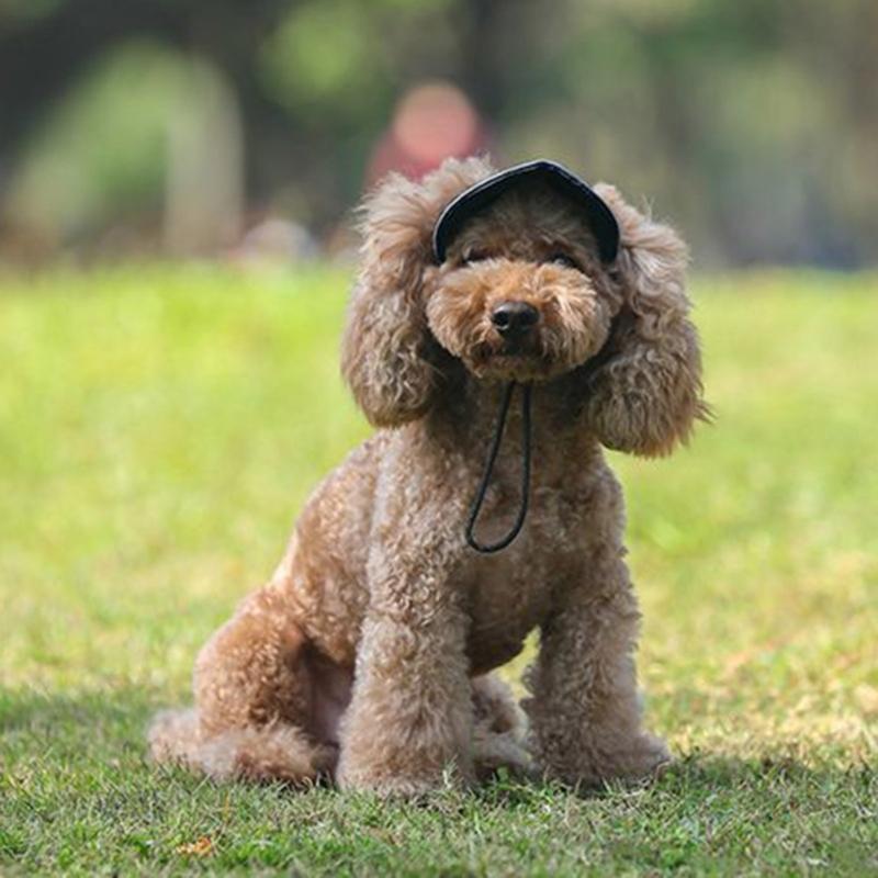 Cappellino Stiloso per Cane 4 Misure Disponibili Design Traspirante Cappellino Parasole per Animali Domestici Ideale per Passeggiate Quotidiane e Giochi Spiaggia