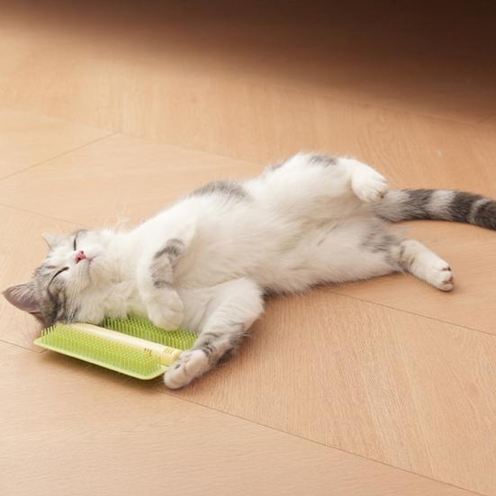 Katzenkratzer mit abgerundeten, stumpfen Kammzähnen, integrierte Katzenminztabletten, Kleberückseite, Katzenpflege-Werkzeug, Möbel