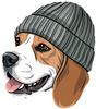 Beagle Wearing Knitted Beanie Women's Hoodies