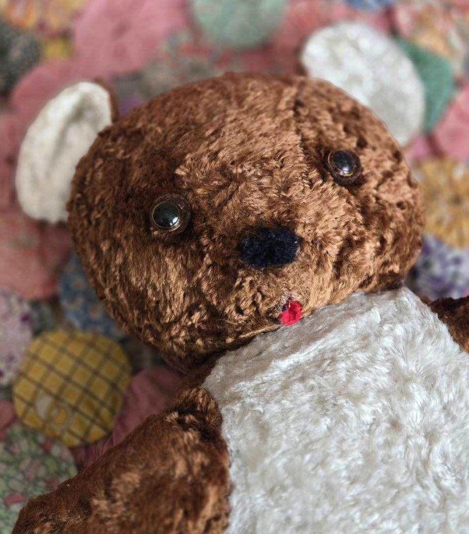 

[USED] Vintage Eastern European Czech Teddy Bear, Flat Stuffed Animal