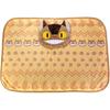 Sun Arrow Cushion Blanket Cat Bus K-8224