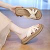 Thick-bottomed Beach Slippers Women's 2025 New Summer Wear Exquisite High-end Cool Slippers with Skirts