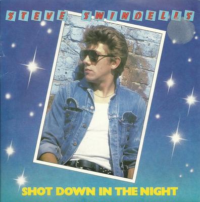 7inch Record STEVE SWINDELLS - Shot Down In The Night K11532 ATCO Records 1980 UK Rock Used