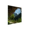 GLAS-KOCHFELD-SCHUTZPLATTE 50x52 BÄUME