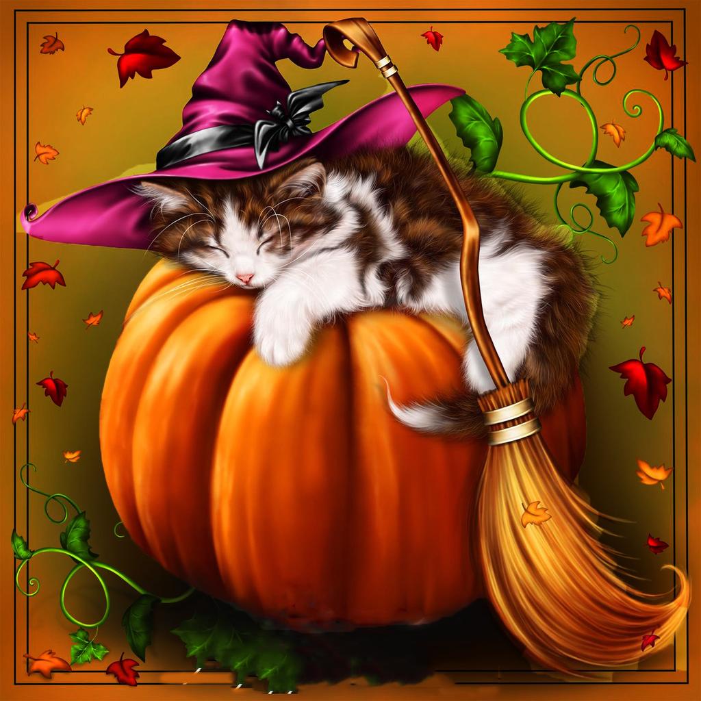 5D DIY Diamant Stickerei Katze voller runder Diamant Malerei Tier Strass Kunst Halloween Dekorationen