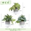 XiaZ Faux Greenery Tabletop Artificial Mini Potted Small Faux Stylish No Watering Care Perfect Gift for or Any Festival 3-Piece Set, Plants, Plants,