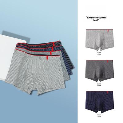 Herren Übergröße Antibakterielle Baumwolle Gestreifte Boxerbriefs