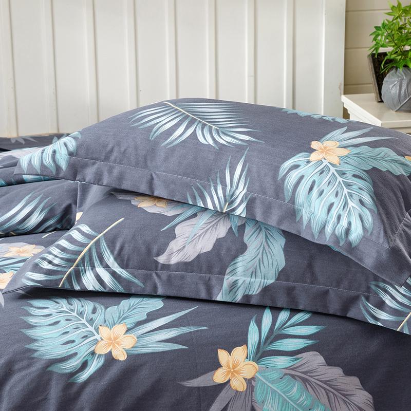 

Thickened Pure Cotton Brushed Pillowcase Set - Includes Two 48x74cm Covers for Winter 48x74cm