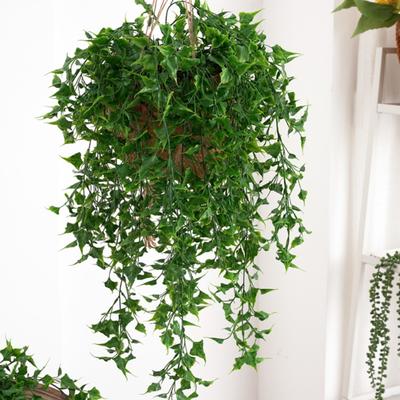 Unique Imitation Plants Not Wither Plastic Decorate