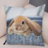 Sofa Car Home Decor Cute Rabbit Cushion Cover Bedroom Living Room Pillowcase Pet Animal Pillowcase