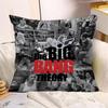 TV Series Pillow Covers Cartoon Sofa Decorative Home Doublesided Printing Short Plush Cushion The Bigs BBang Theorys Cover