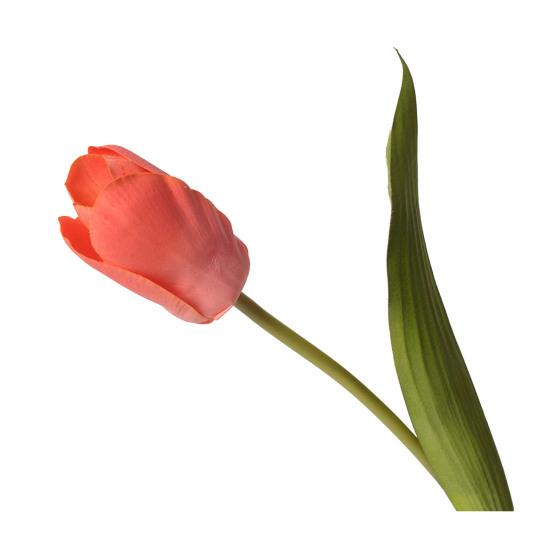 14" Umělé Tulipány Realistické na Dotek Dlouhá Stonek Umělý Tulipán pro Jaro Velikonoce Domov Kuchyně Svatba Kytice Dárky ke Dni Matek