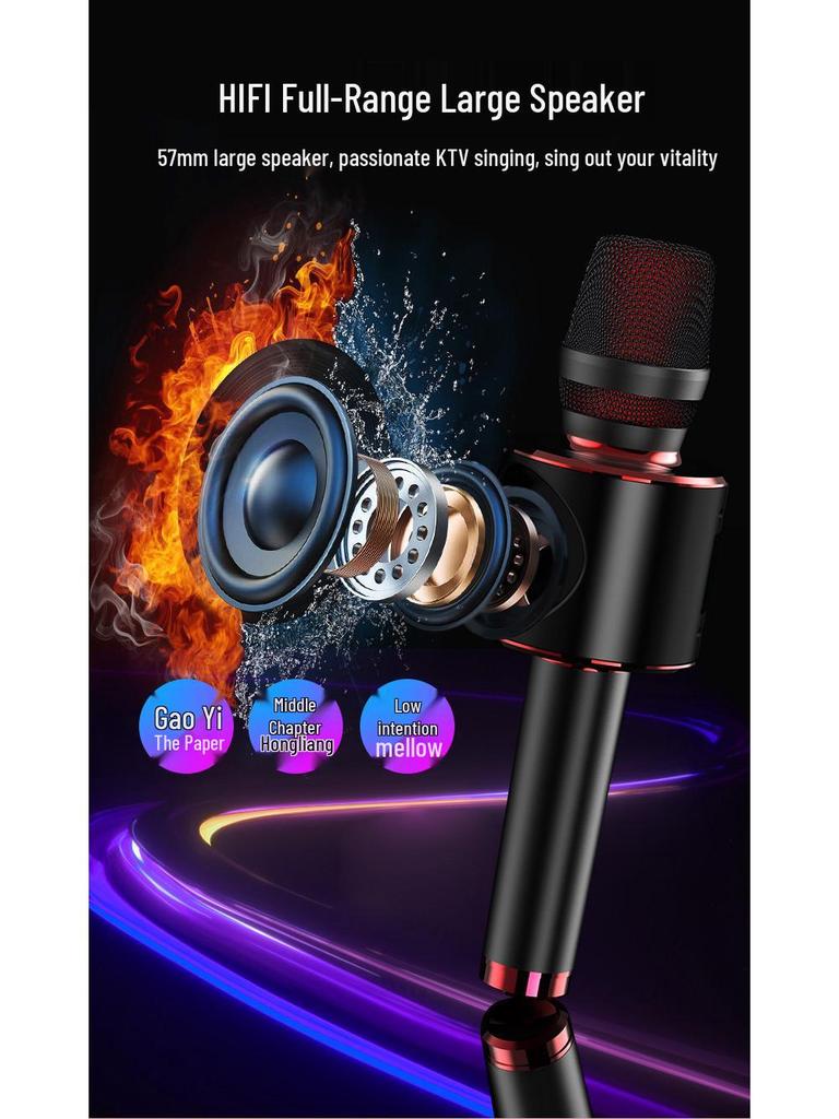 Wireless Bluetooth K-Song Microphone & Speaker with Built-in Sound Card for TV and Mobile