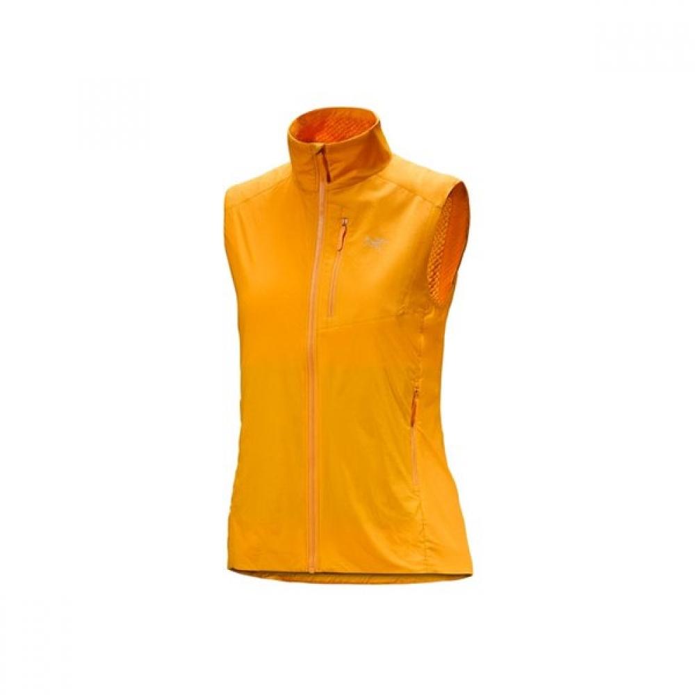 Arcteryx Women Proton Lightweight Vest Edziza