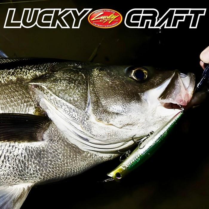 LUCKY CRAFT SW Surface Wonder 120 Fishing Lure (985D Umeiwashi)