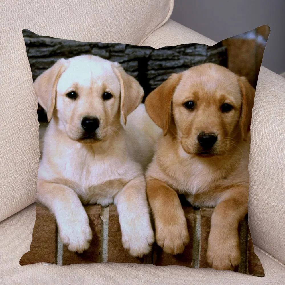 

Офис Гостиная Дом Наволочка Питомец Лабрадор Узор Наволочка Автомобиль Украшения 16x16Inch