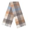 Plaid Wool Scarf for Men and Women High End Autumn and Winter Warm Scarf  Versatile Tassel Lambswool Shawl