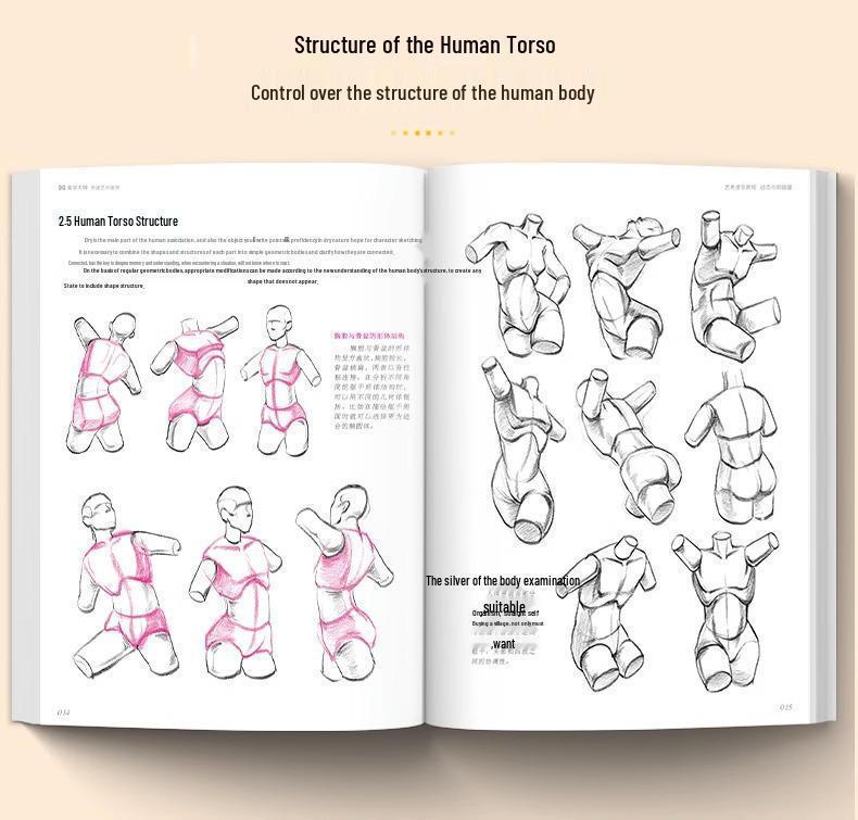 Video Sync: 3 Figurative Sketching Tutorials & Practice Books for Art Exams - Line Drawing & Human Anatomy