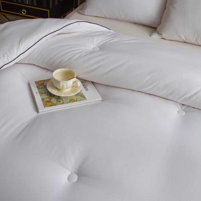 Brangdy All-Season Thick Soybean Fiber Quilt