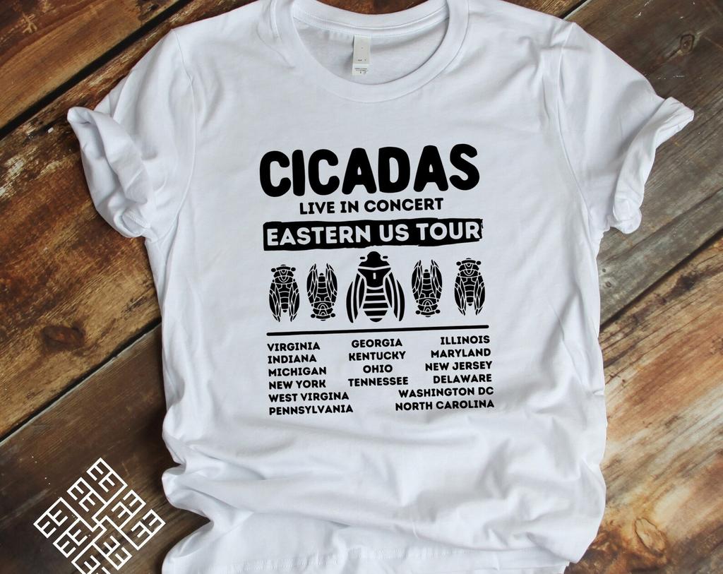 Cicadas T shirt, Cicada Tourism Season US Tour Graphic Tee, Cicadas Insects Enthusiast T shirt, Cicada Mania Gift, Cicadas US Tour