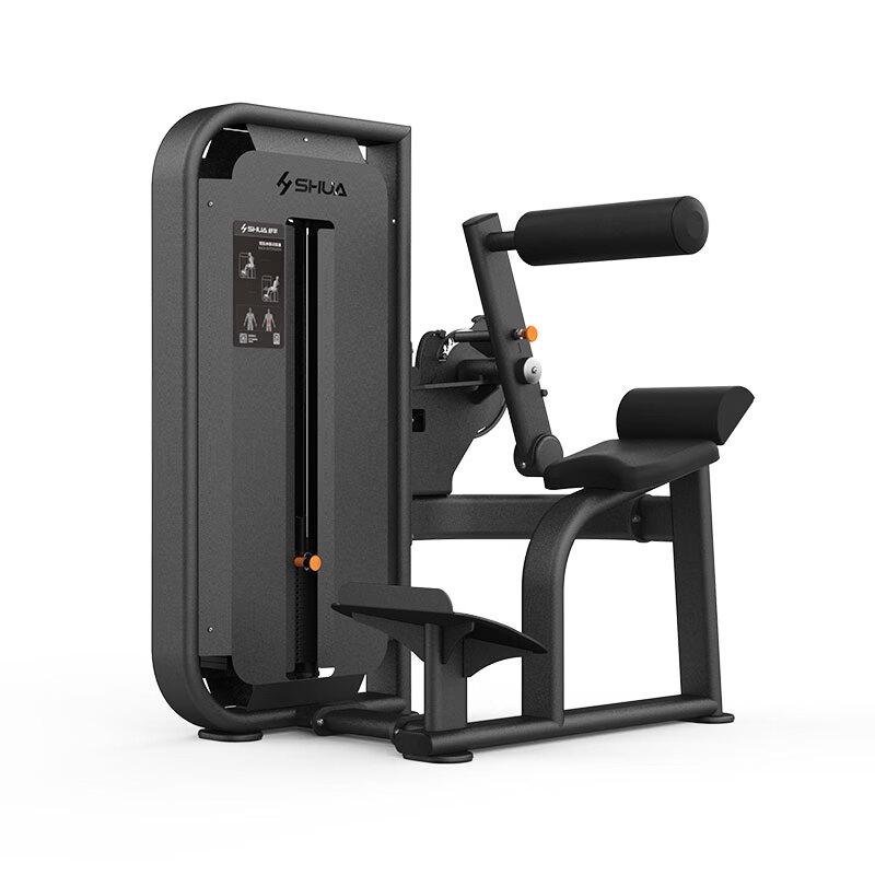 Shua Commercial Back Extension Machine