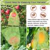 20Pcs Reusable Fruit Proof Drawstring Bags Plants Protection Mesh Bags Pest Barrier Covers Fruit Tree Garden Supplies