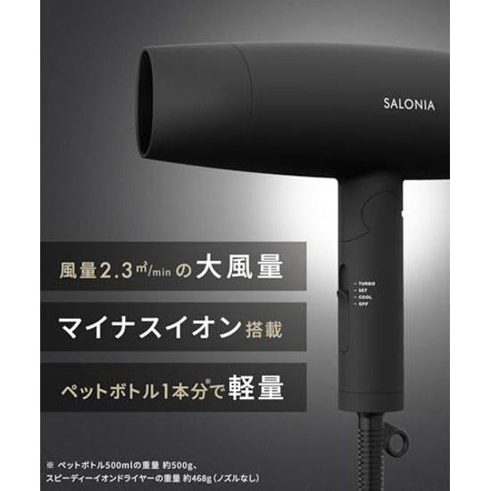 SALONIA Speedy Ion Dryer High Airflow Quick Dry Lightweight Negative Hair SL-013AGR Gray