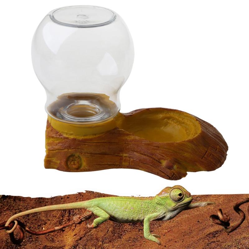 automatic gecko feeder