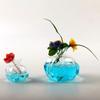 Creative Red Pomegranate Transparent Glass Hydroponic Vase with Hammer Pattern for Desktop Decoration