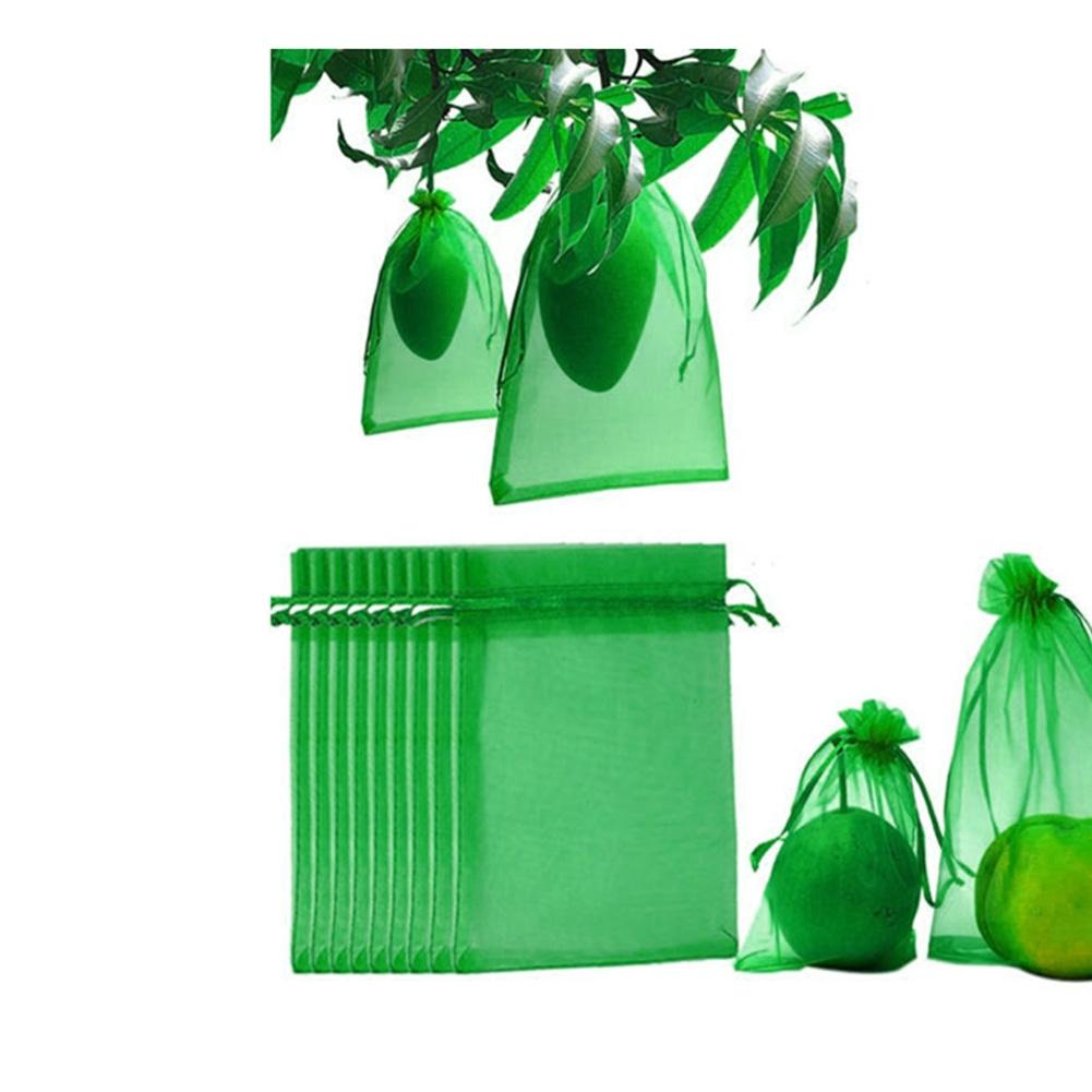 Green Fruit Protect Mesh Bag with Rope for Tomatoes Grapes and More