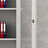 Zhenyuan Full Glass Filing Cabinet