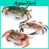 Marine Animal Crab Model With Realistic Design For Desktop Decor