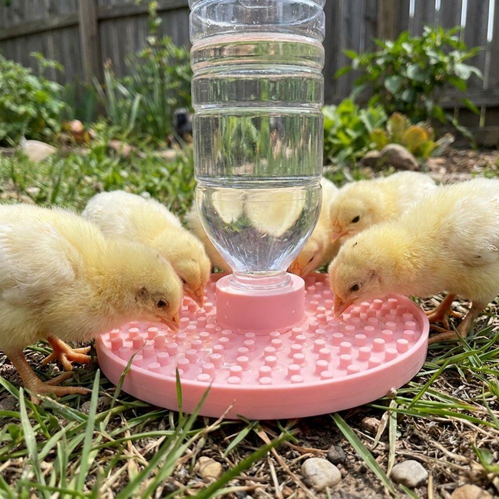 Multi-Hole Chicks Automatic Drinking Tray Plastic Bee Water Dispenser Home Balcony