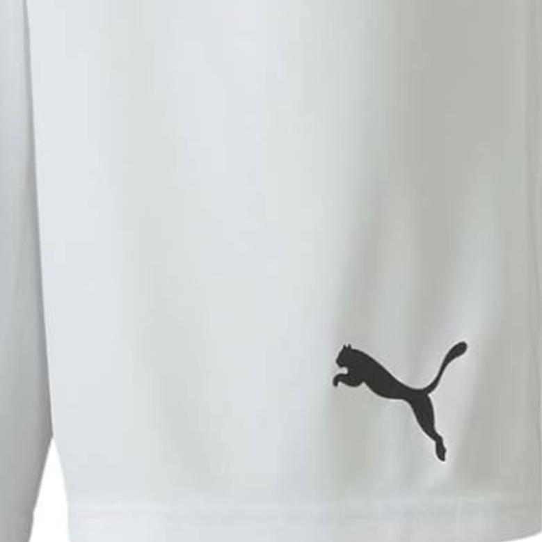 Puma Teamgoal 23 Solid Logo Elastic Waist Three-Quarter Sports Shorts Men shorts 704262-04