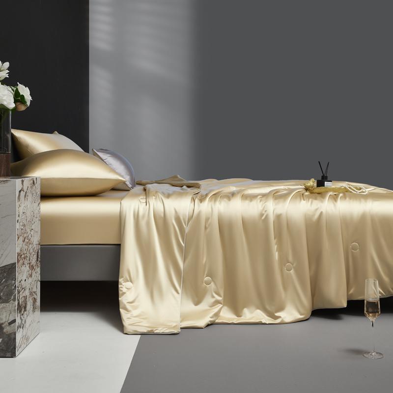 Pure Mulberry Silk Comforter For All Season, 100% Natural Long Strand Silk Filled Duvet, Lightweight Summer Quilt/Blanket/Duvets