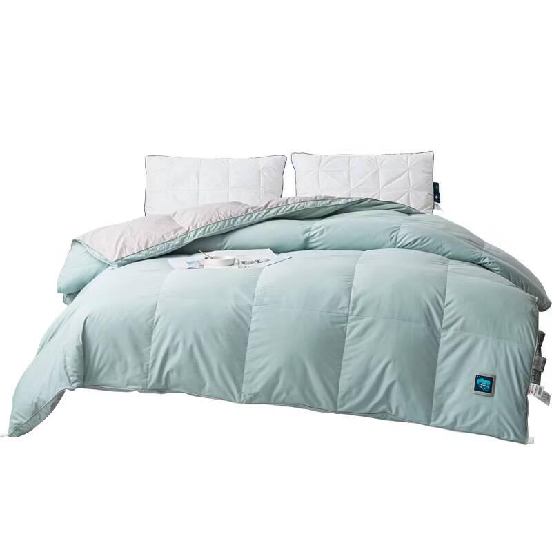 Dohia Polish White Goose Down Winter Comforter
