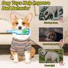 Squeaky Water Bottle Dog Toy for Aggressive Chewers, Durable Chew Toy for Medium & Large Dogs
