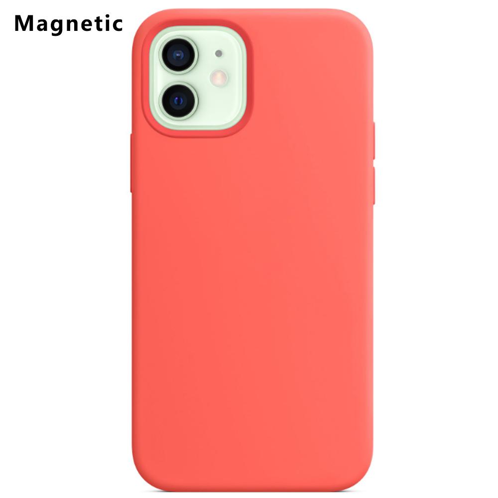 For iPhone 12 Mini Compatible with MagSafe Liquid Silicone Phone Back Cover (No Logo)