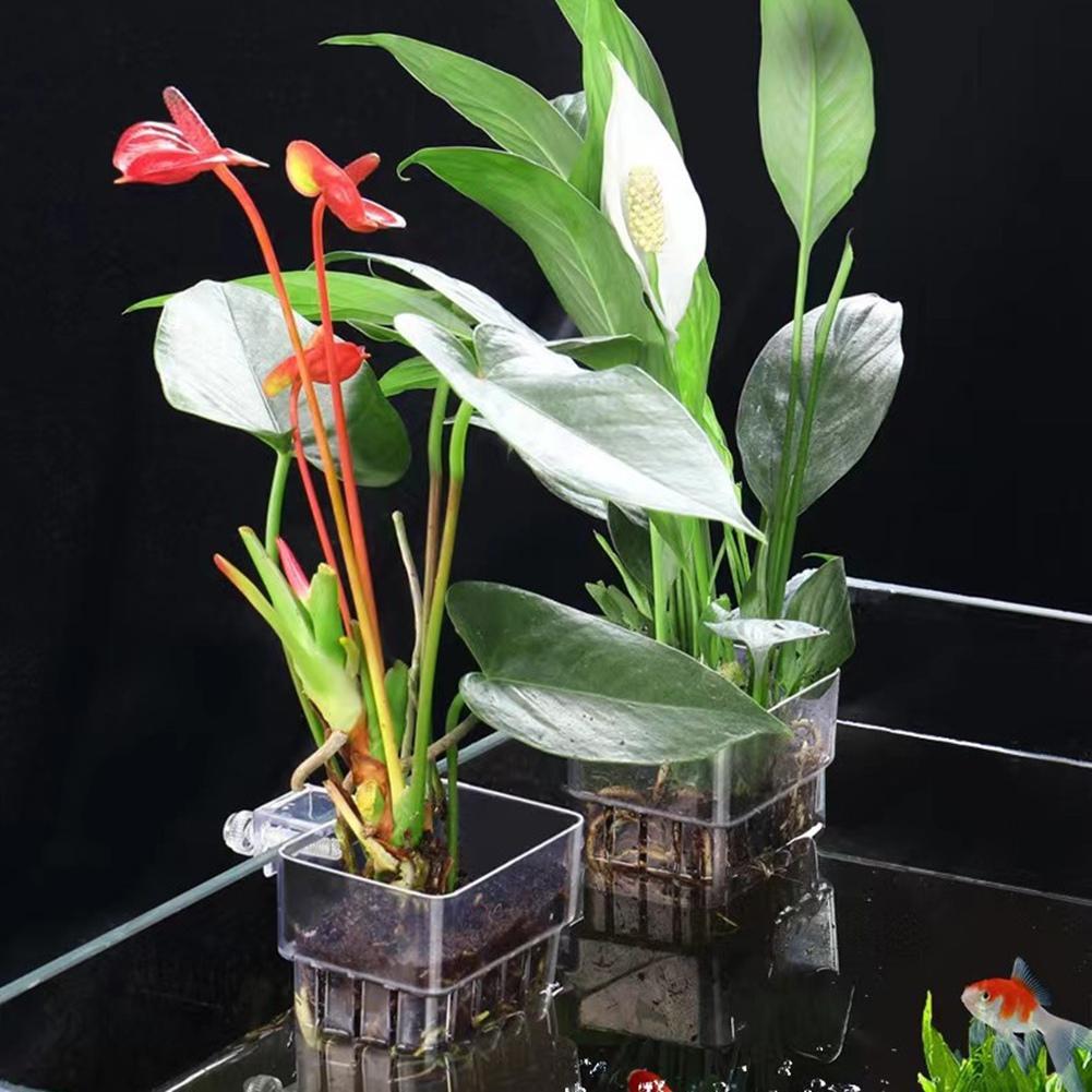 Practical-Aquarium Hydroponics Planting Cup Household Aquatic Plant Cup Acrylic Cup Fish Tank Landscaping Decoration