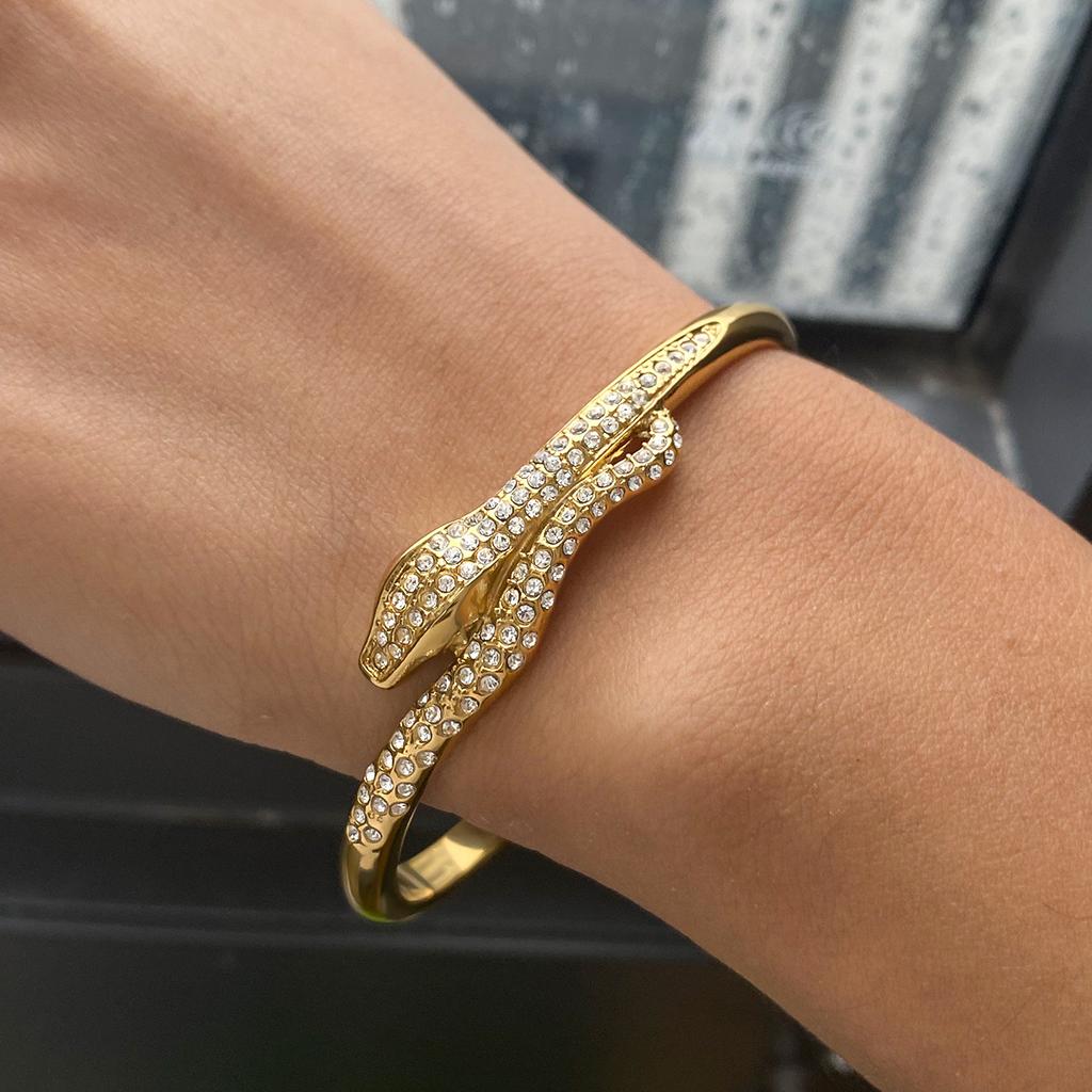 JYL TS Bracelet Bangle Snake Design Bold Style Boosts Wisdom & Protection From Negativity