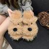 Cute Puppy Slippers Women's Comfortable Casual Cartoon Fluffy Slippers 2025 Autumn and Winter