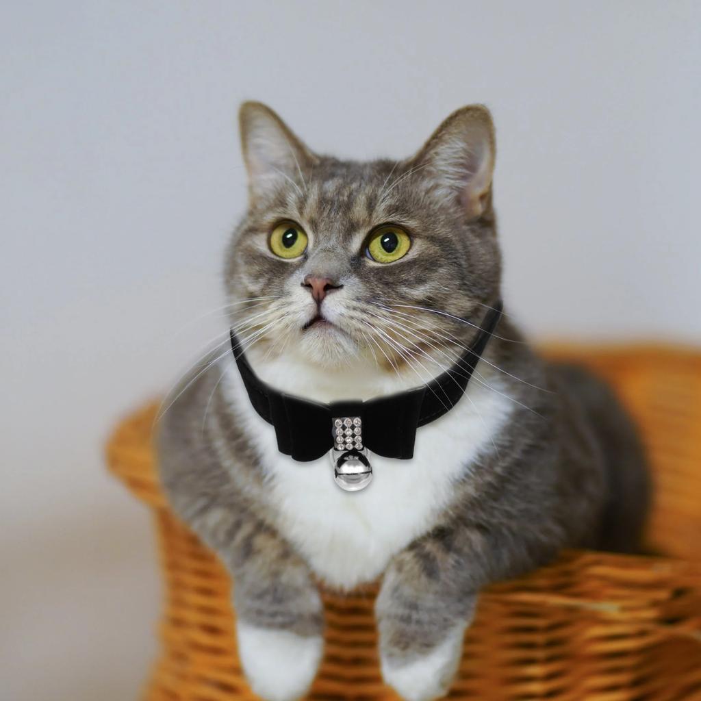 Chic Adjustable Rhinestone Pet Collar Cat Dog Collar Bell Charm Premium Material Comfortable for Party Daily Decoration