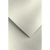 Decorative Cardboard Pearl Light Silver 250G (20) 5939