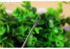 Creative Heart-Shaped Fruit Skewer Set - Stainless Steel Forks for Restaurants & Gifts