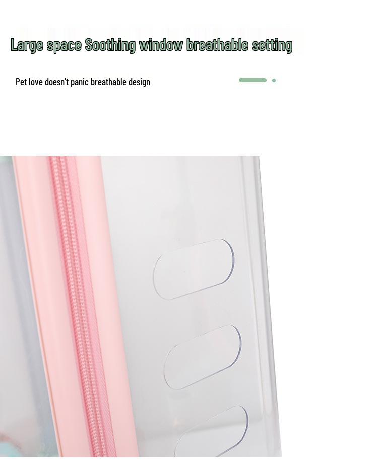 Portable Transparent Pet Travel Suitcase: Breathable, Extra Large for Cats & Dogs